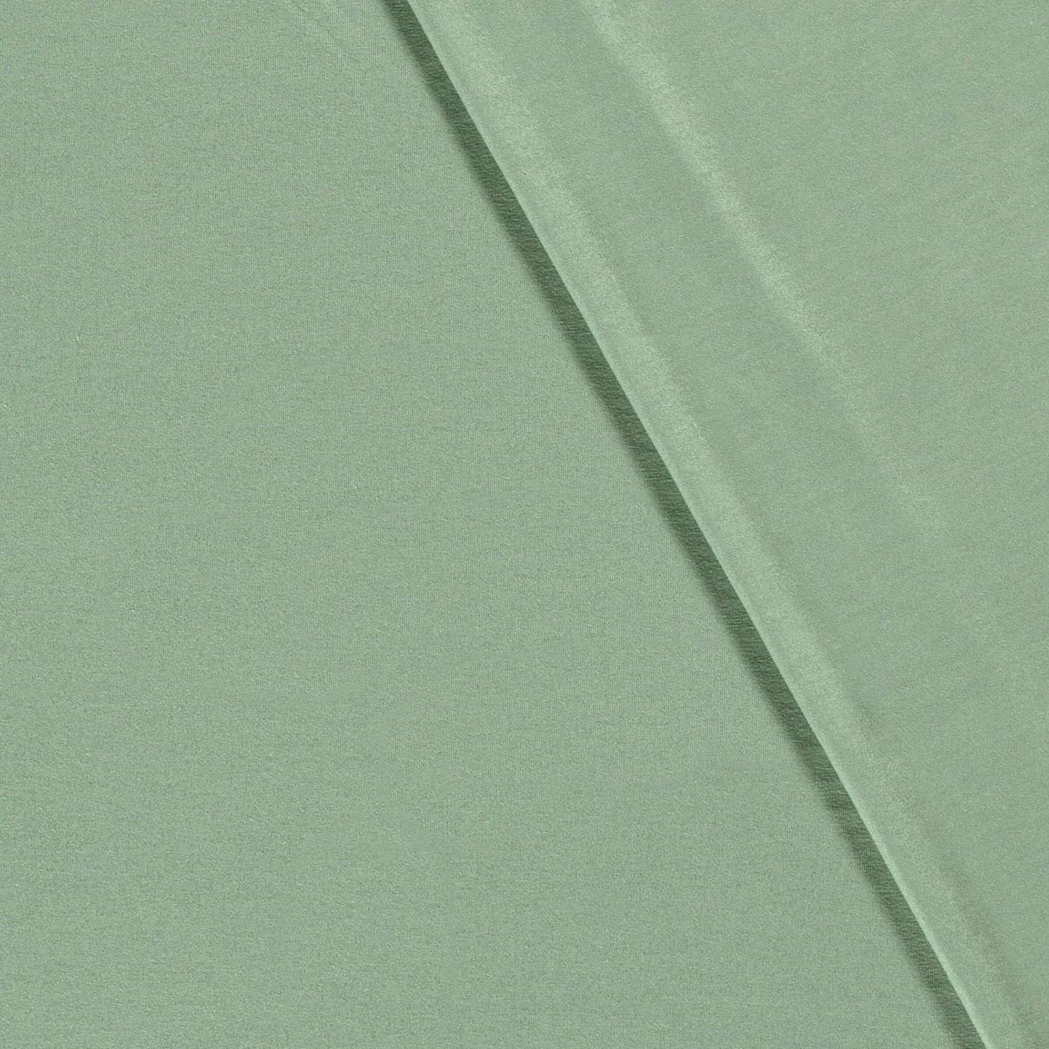 Buy 022-mint Viscose jersey * From 50 cm