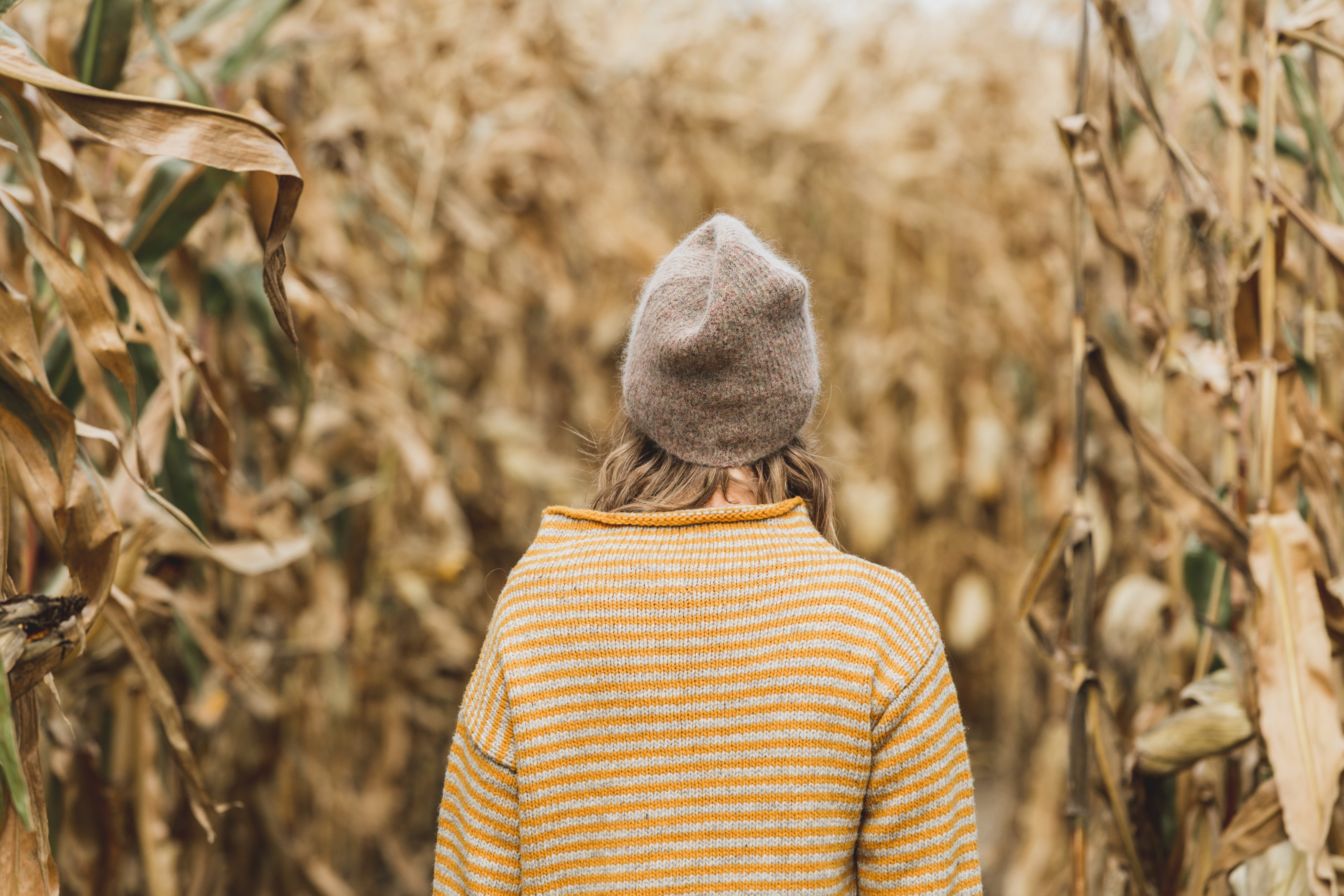 Neuheiten für den Herbst